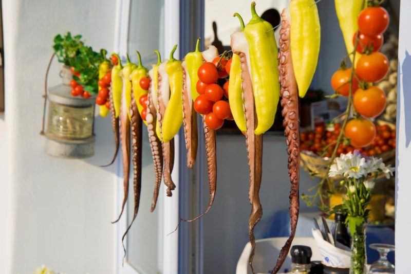 Gastronomy-(2)