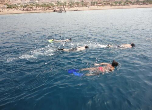 Feb 2014 Snorkeling Glass bottom Boat Aqaba